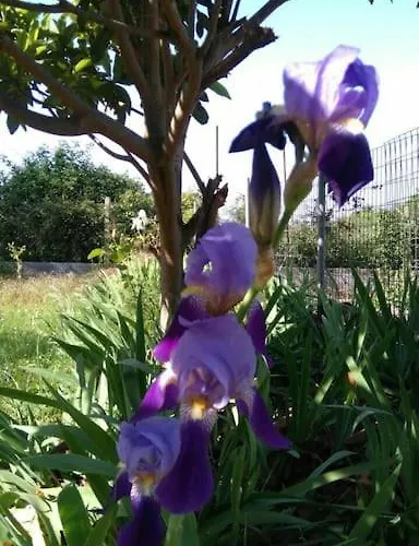 Nyaraló Ideal Family Vacations!!!