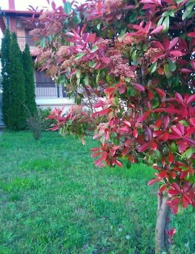 Nyaraló Ideal Family Vacations!!! Litóhoro