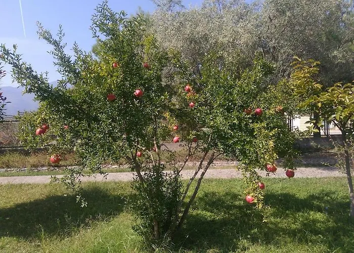 Ideal Family Vacations!!!