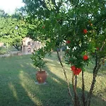 Ideal Family Vacations!!! * Litochoro