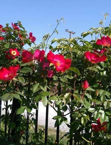 Ideal Family Vacations!!! Holiday home Litochoro